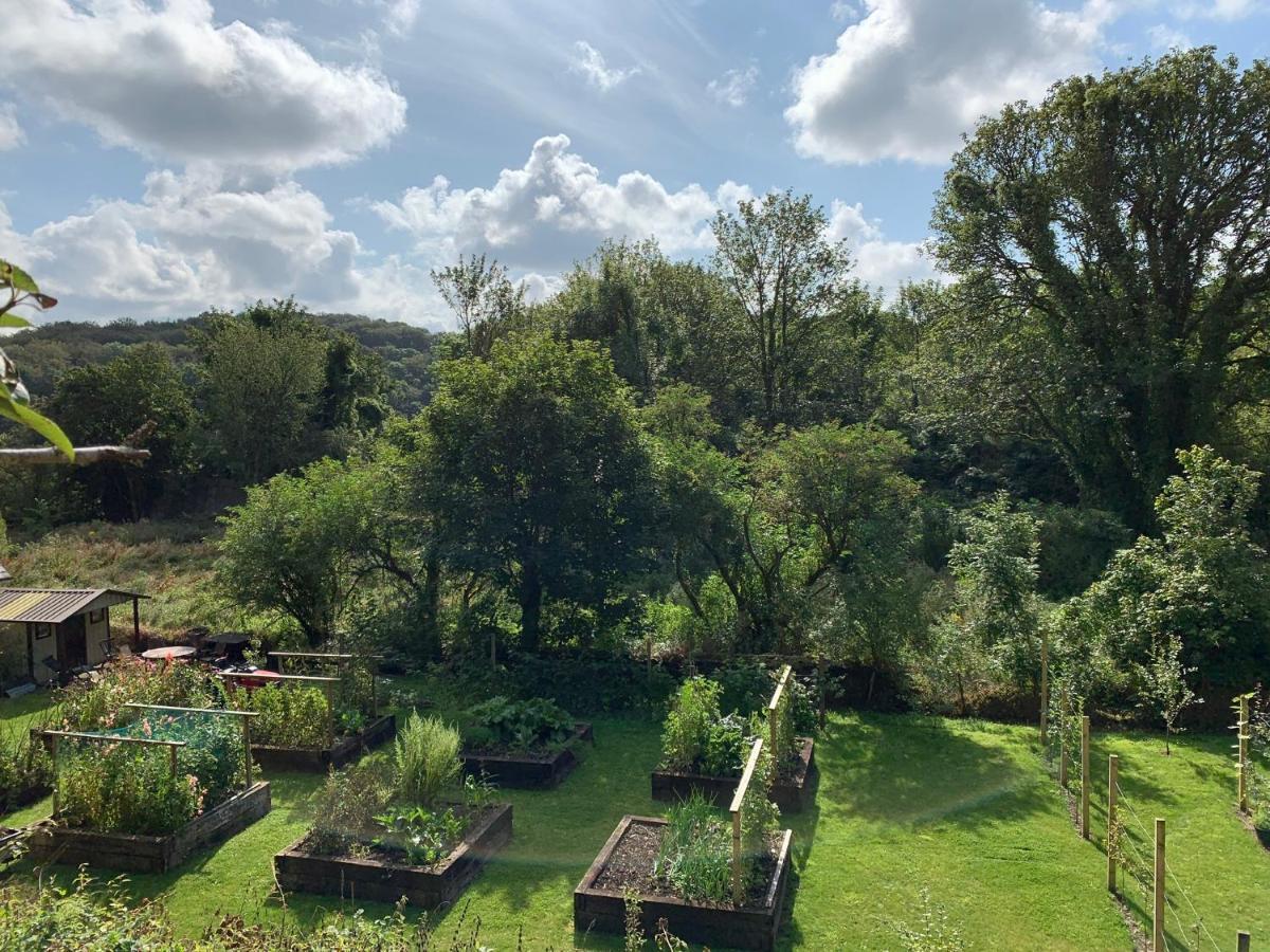 Riverbank House Bed And Breakfast Innishannon Exteriér fotografie