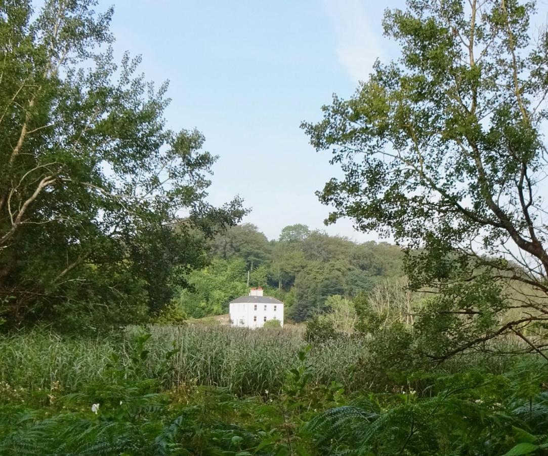 Riverbank House Bed And Breakfast Innishannon Exteriér fotografie