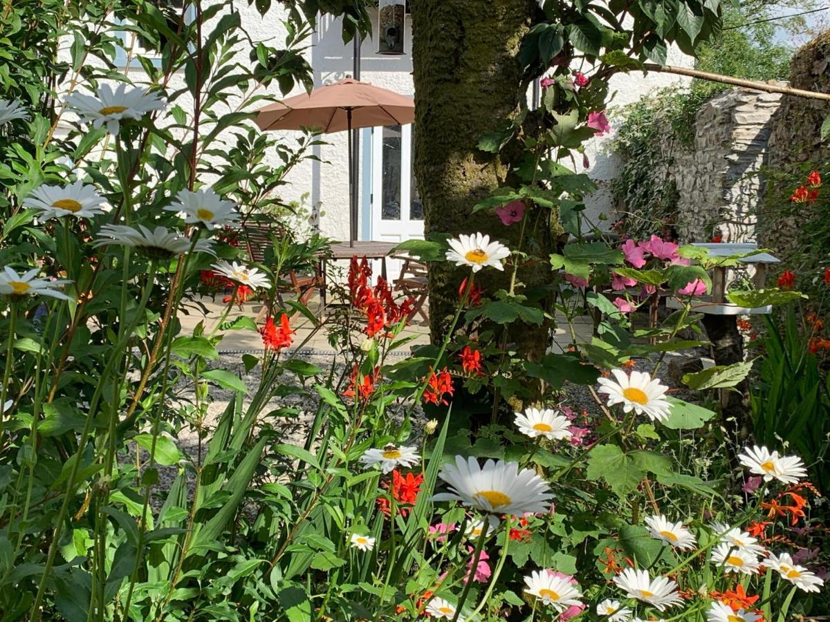 Riverbank House Bed And Breakfast Innishannon Exteriér fotografie