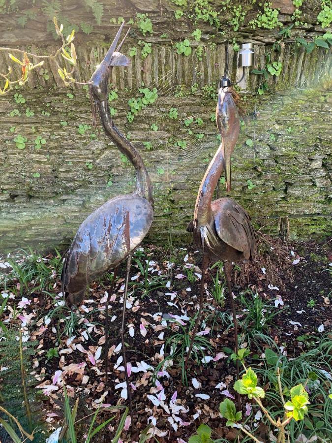 Riverbank House Bed And Breakfast Innishannon Exteriér fotografie